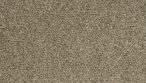 Mohawk Cozy Companion IV Carpet