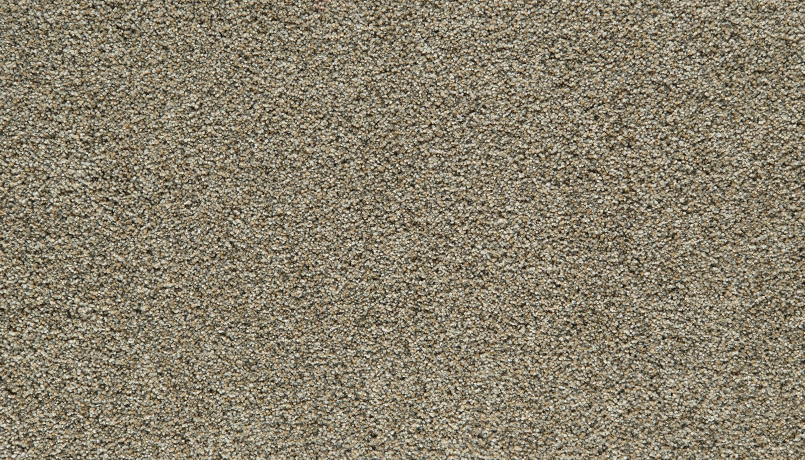 Mohawk Cozy Companion IV in Homestead, Carpet product detail