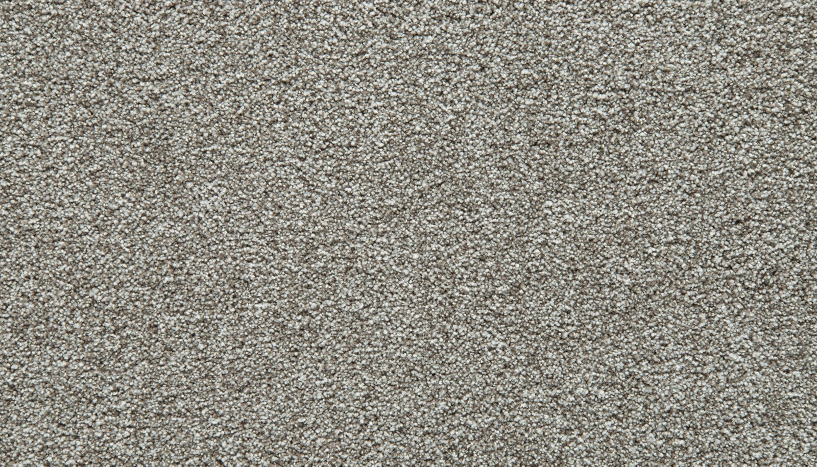Mohawk Cozy Companion IV in Pebble Trail, Carpet product detail