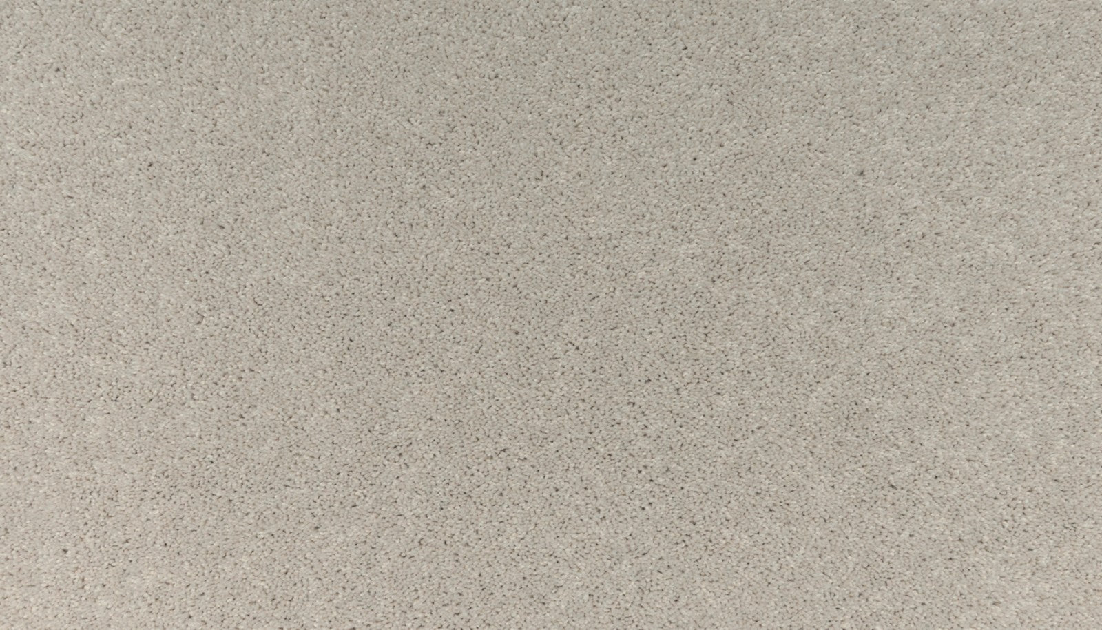 Mohawk Balance I in Haven, Carpet product detail