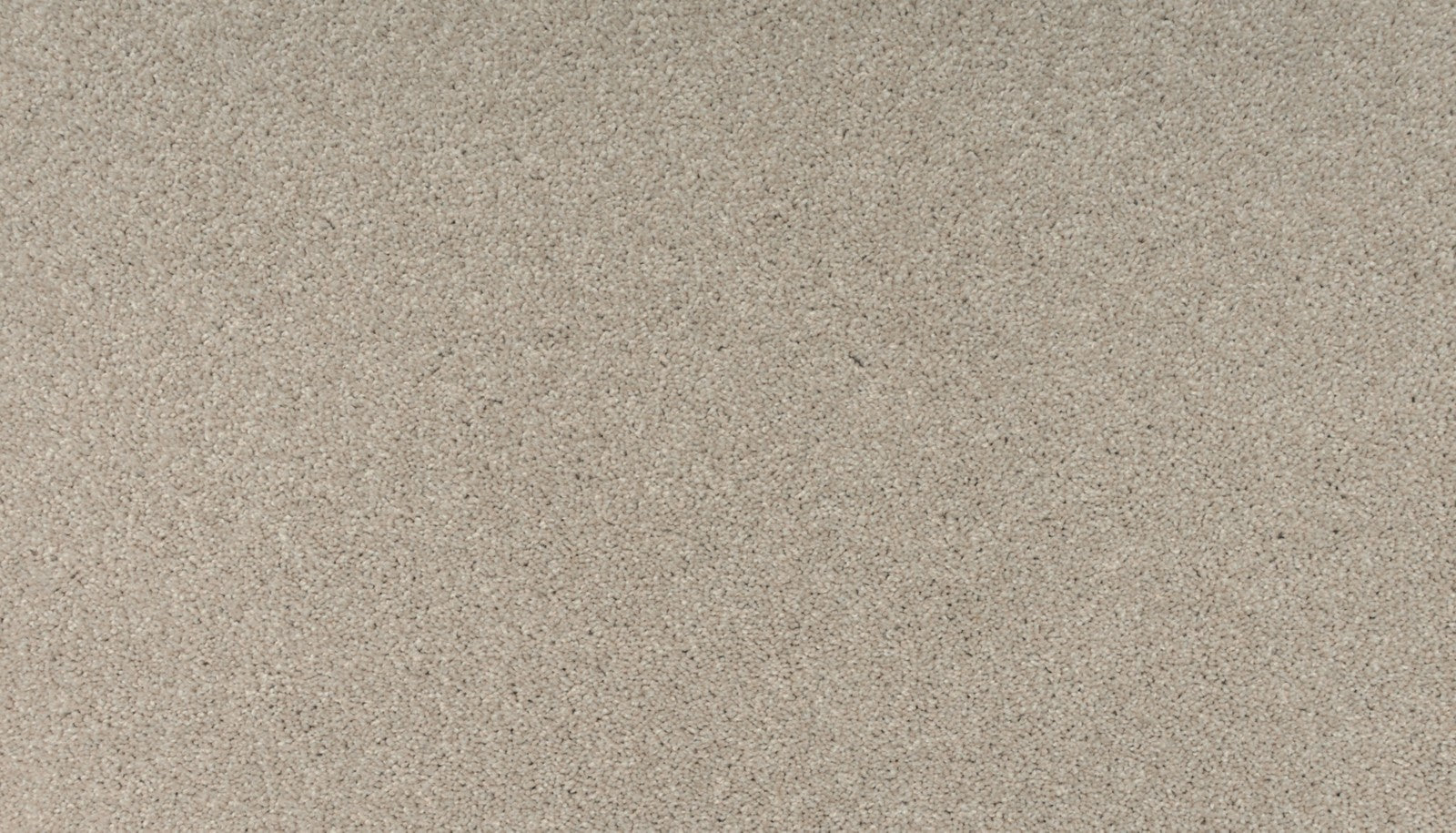 Mohawk Balance II in Zephyr, Carpet product detail