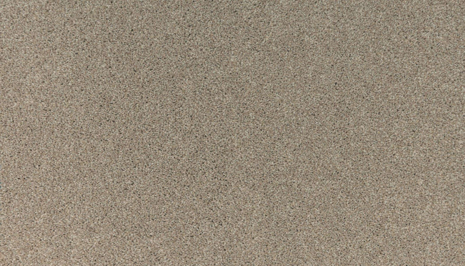 Mohawk Balance II in Ashlar, Carpet product detail