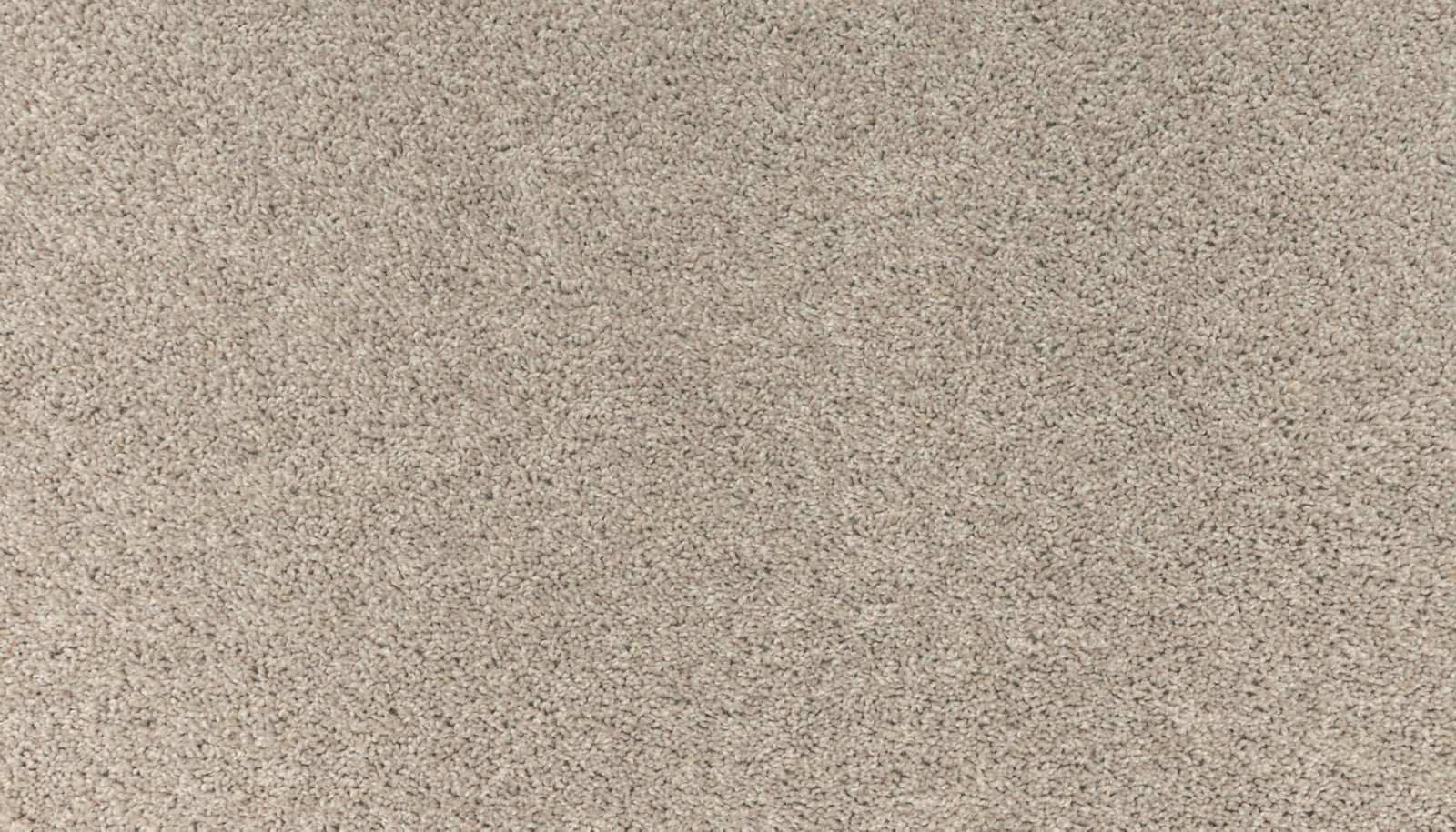 Mohawk Balance II in Nomad, Carpet product detail