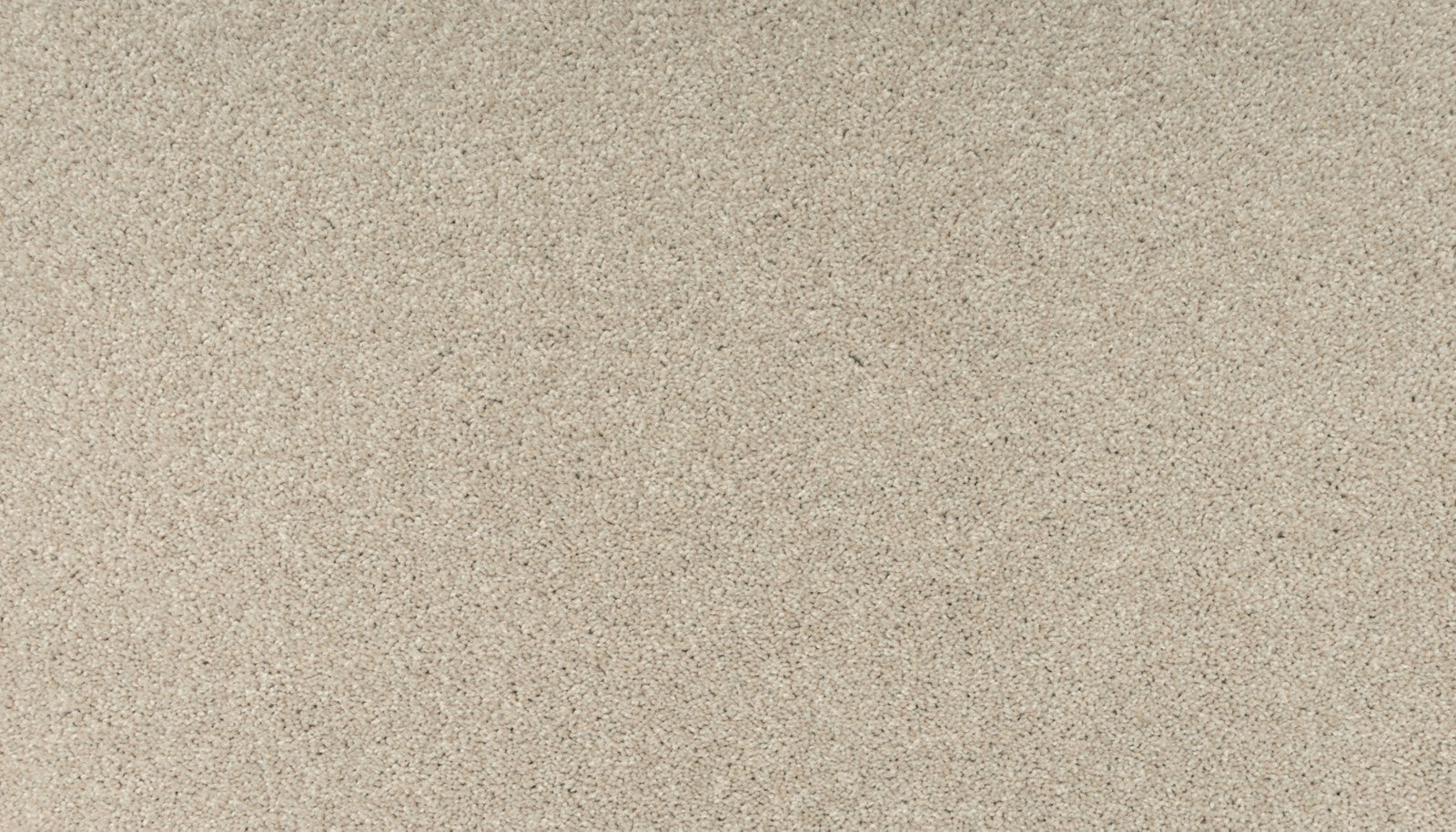 Mohawk Balance III in Angora, Carpet product detail