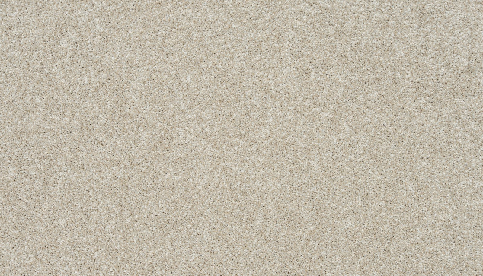 Mohawk Apollo I in Champagne Mist, Carpet product detail