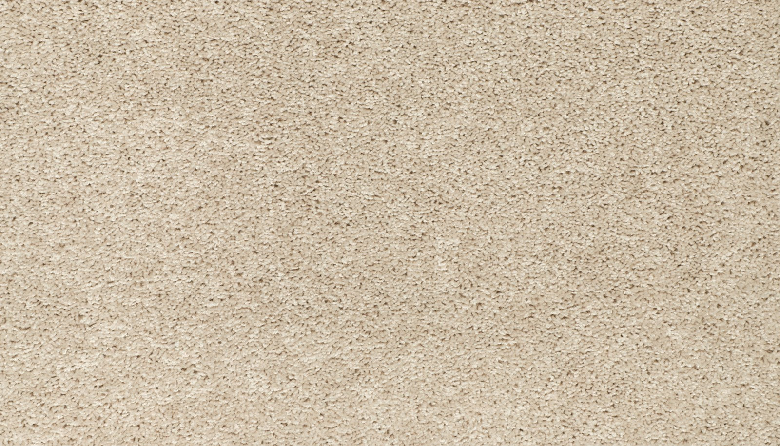 Mohawk Winning Hand III in Picnic, Carpet product detail