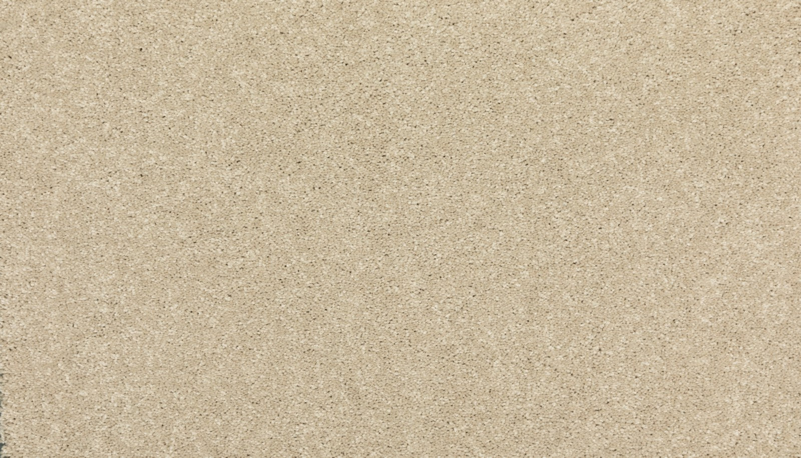 Mohawk Modern Story III in Stone Lion, Carpet product detail