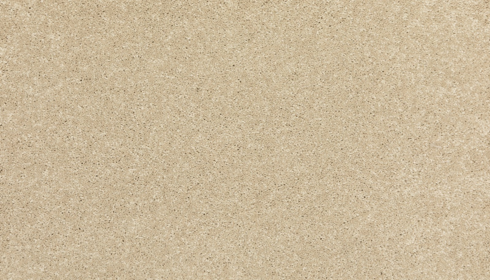 Mohawk Modern Story III in Seashells, Carpet product detail