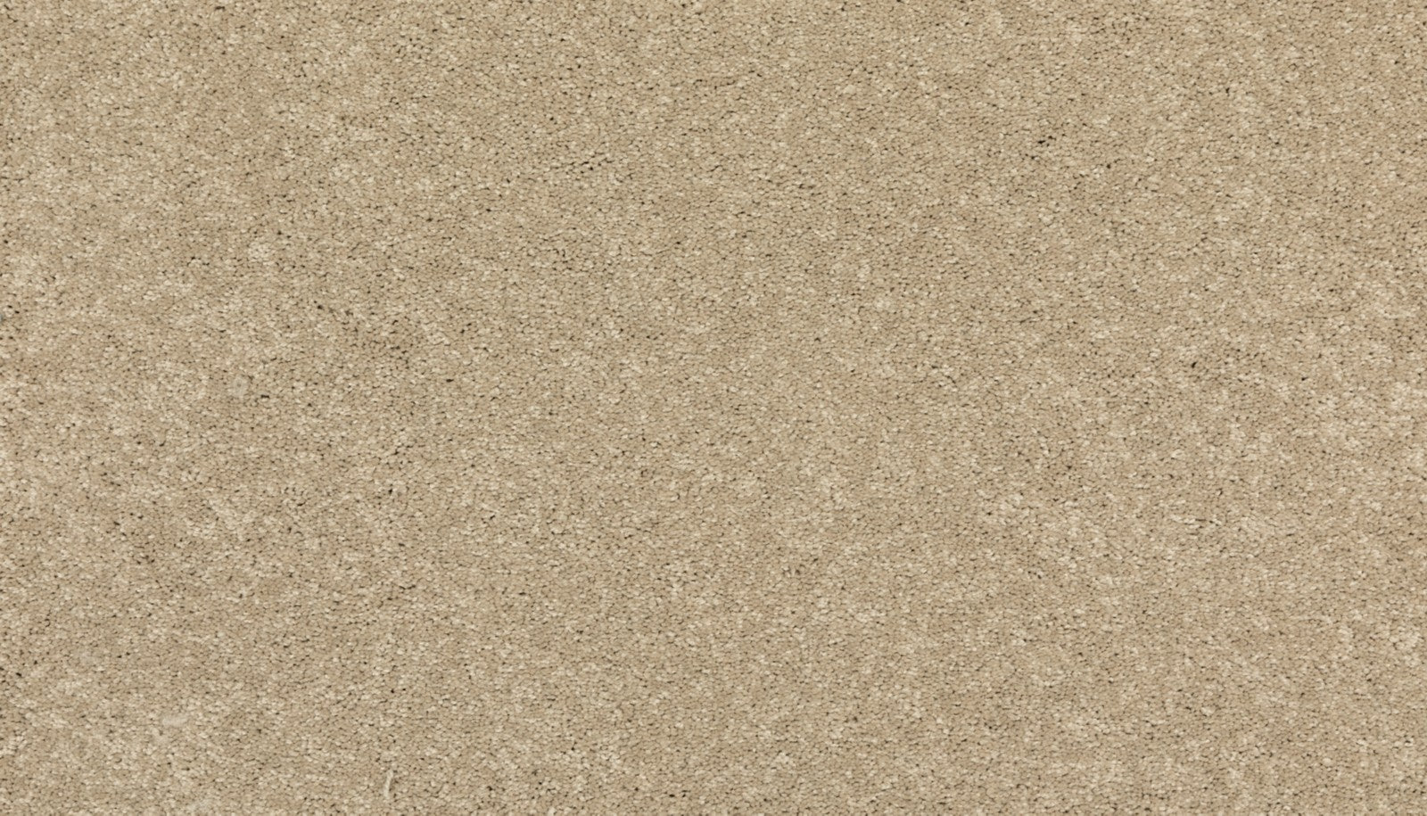 Mohawk Modern Story III in Gold Coast, Carpet product detail