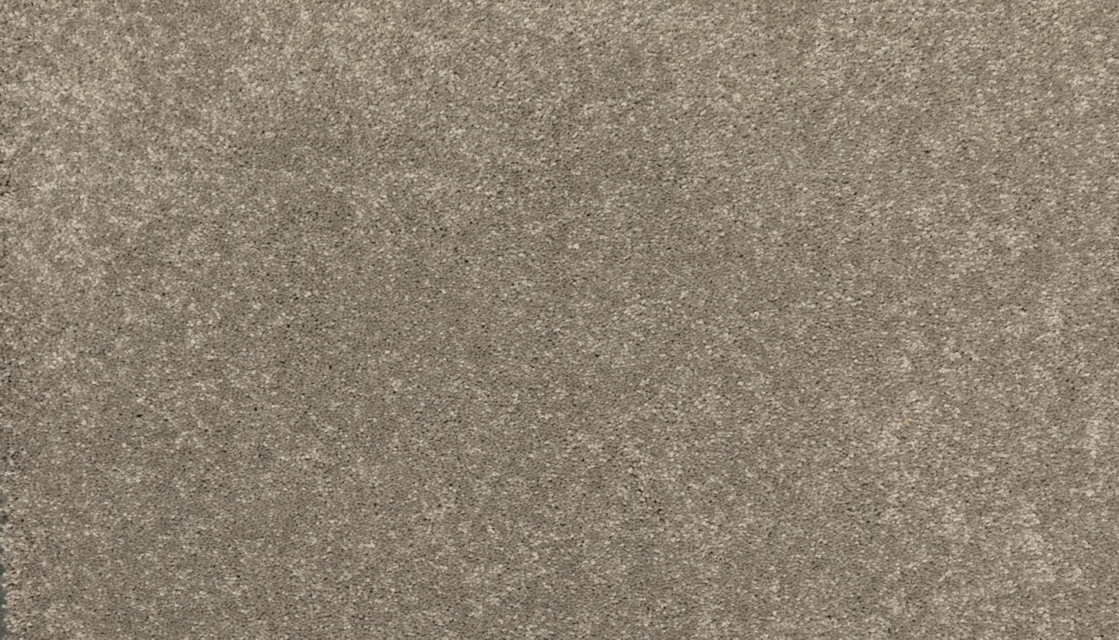 Mohawk Modern Story III in Dakota, Carpet product detail