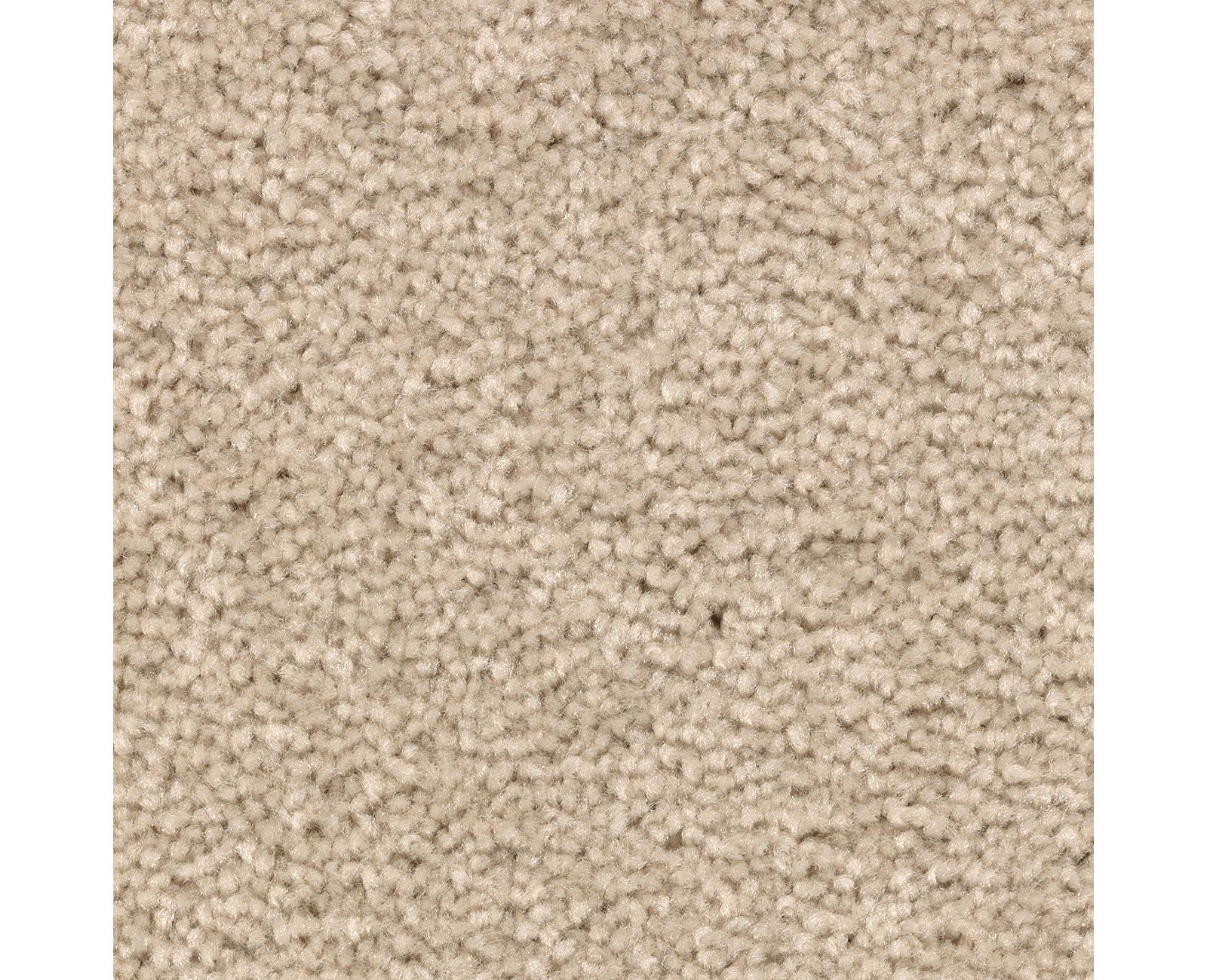 Mohawk Treasure Valley in December Lace, Carpet product detail