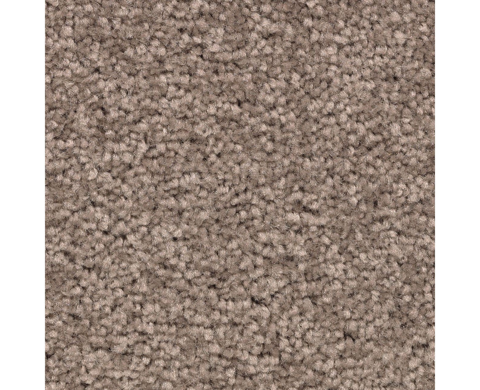 Mohawk Treasure Valley in Mesquite Chip, Carpet product detail
