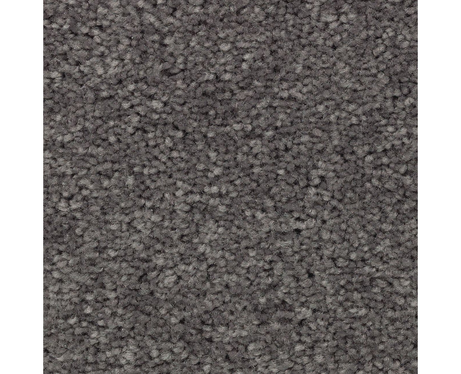 Mohawk Treasure Valley in Highgate, Carpet product detail