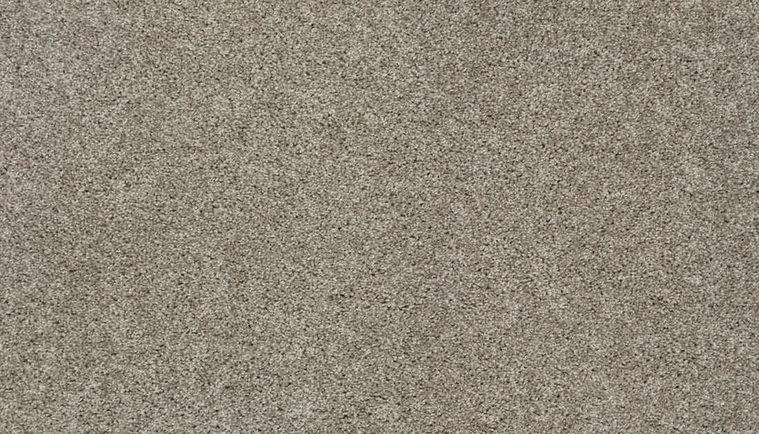 Mohawk Tonal Allure II Carpet