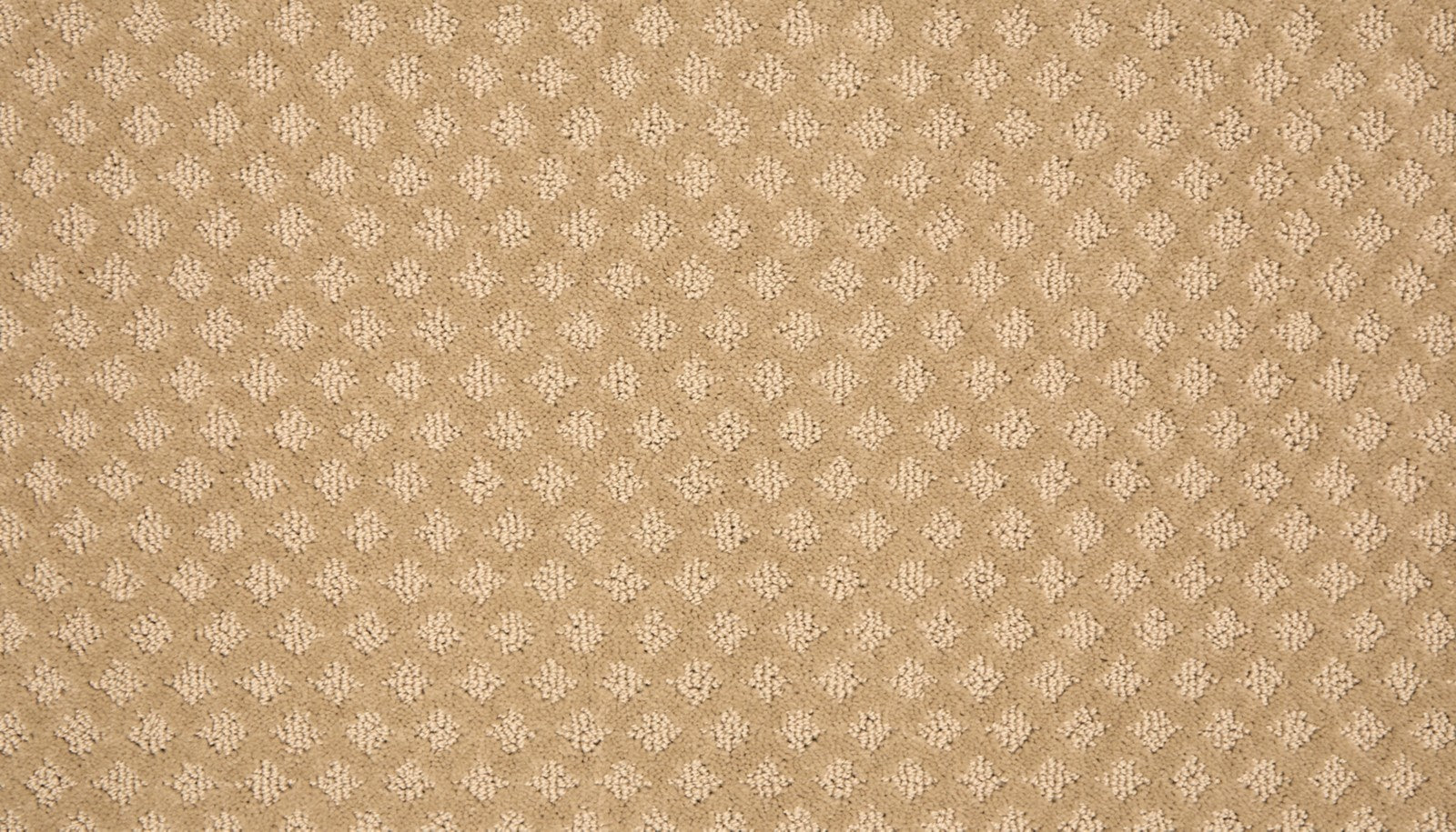 Mohawk Retro Reminisce in Baguette, Carpet product detail