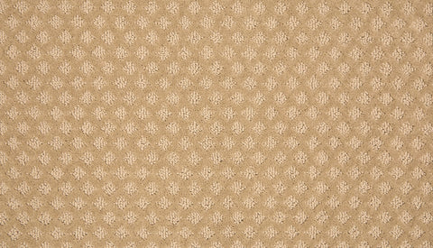 Mohawk Retro Reminisce Carpet