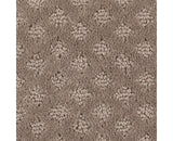 Mohawk Design Inspiration Carpet