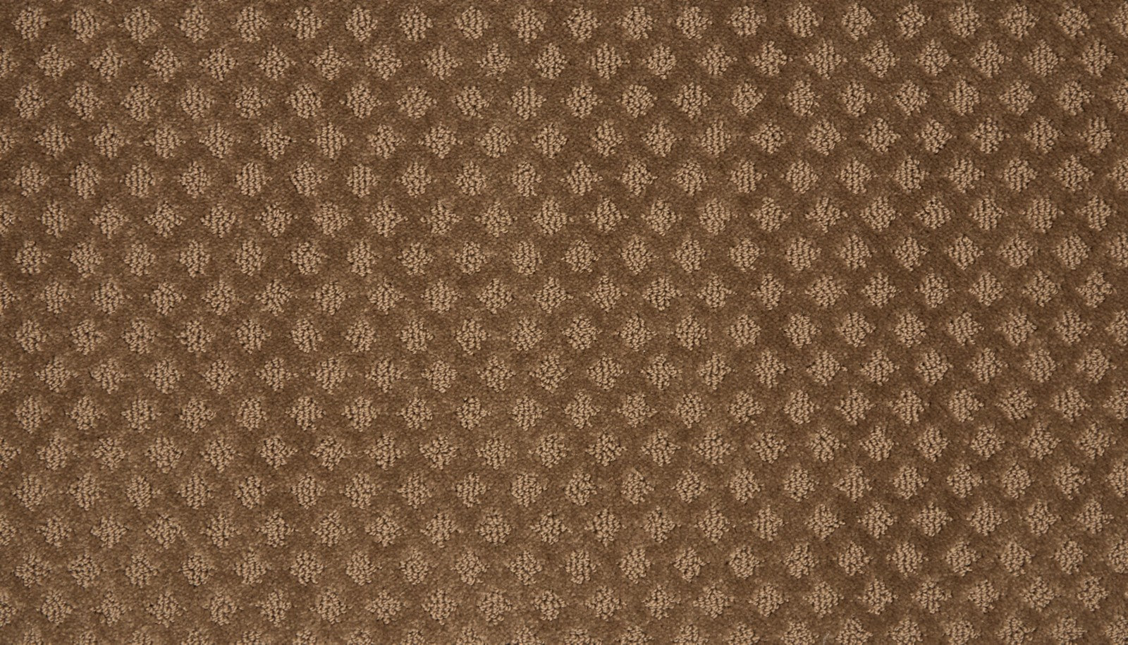 Mohawk Retro Reminisce in Dreamin, Carpet product detail