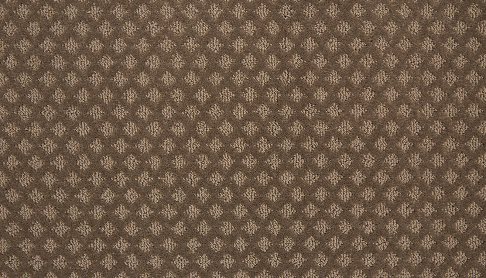 Mohawk Retro Reminisce in Cuppa Joe, Carpet product detail