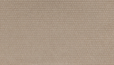 Mohawk Natural Intuition Carpet