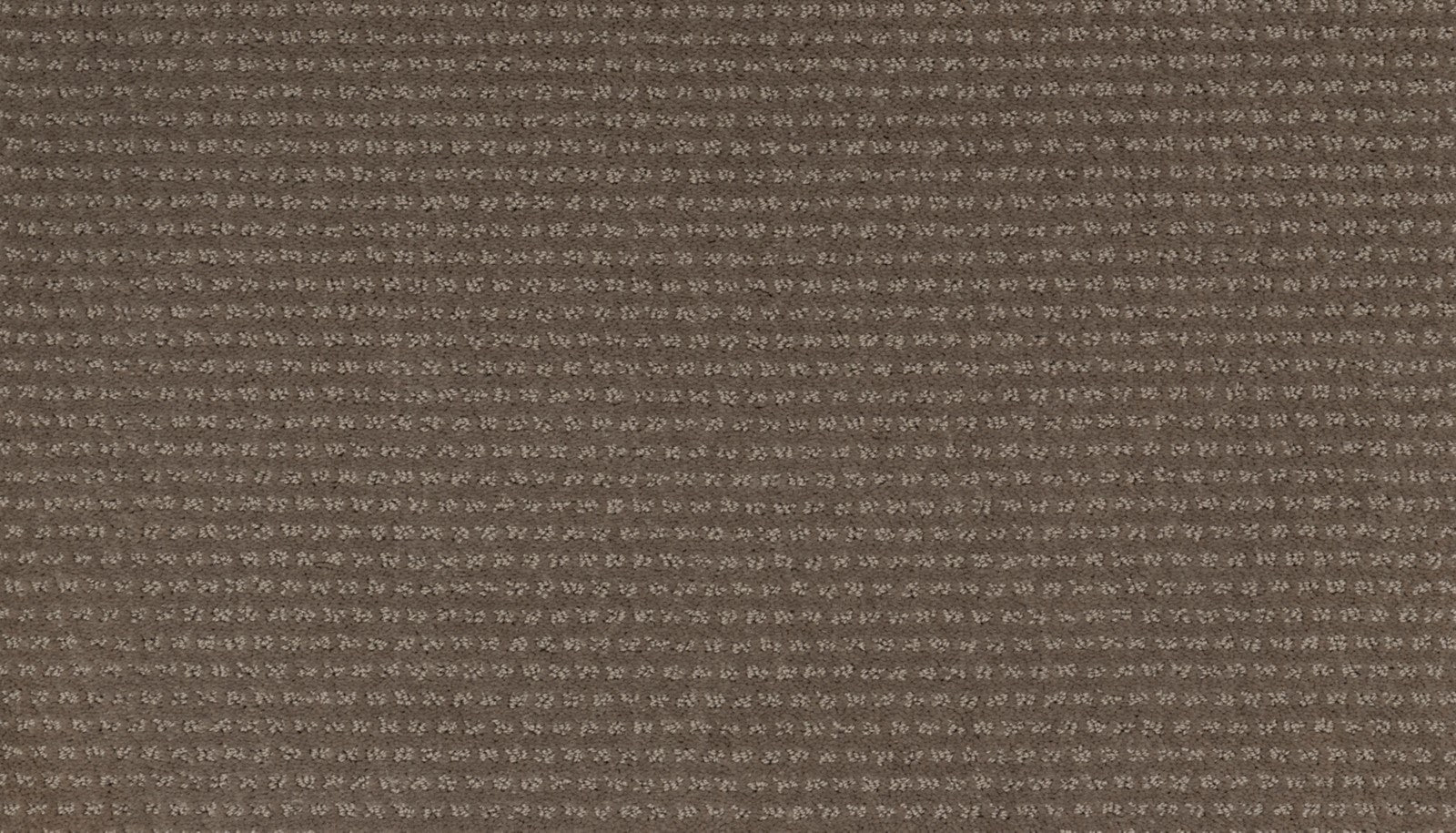 Mohawk Natural Intuition in Winter Leaf, Carpet product detail