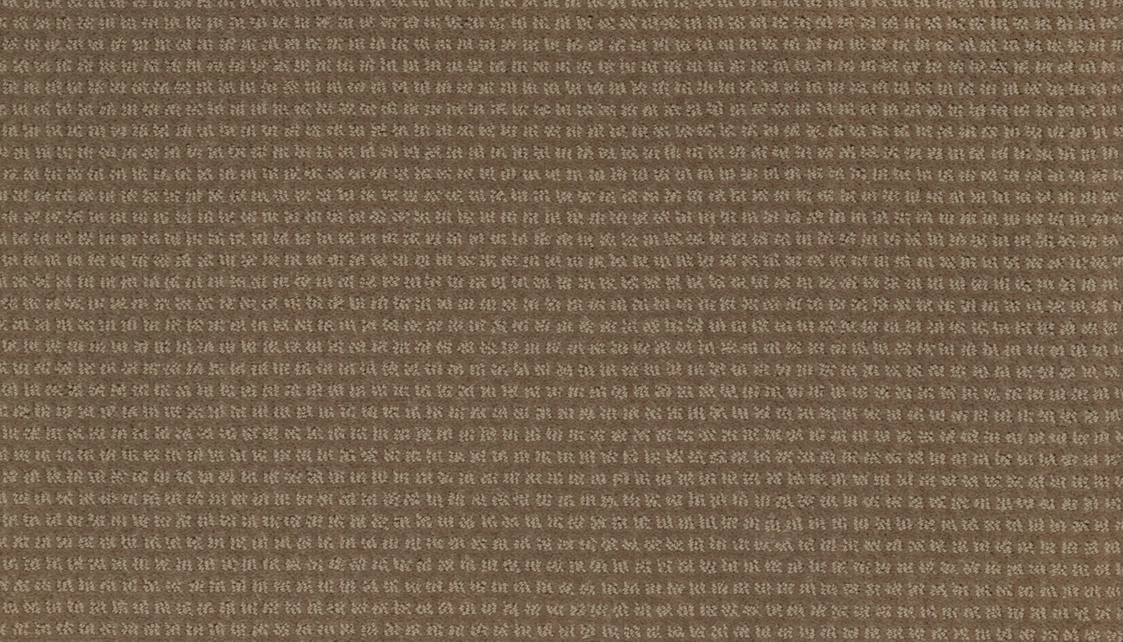 Mohawk Natural Intuition in Woodland, Carpet product detail