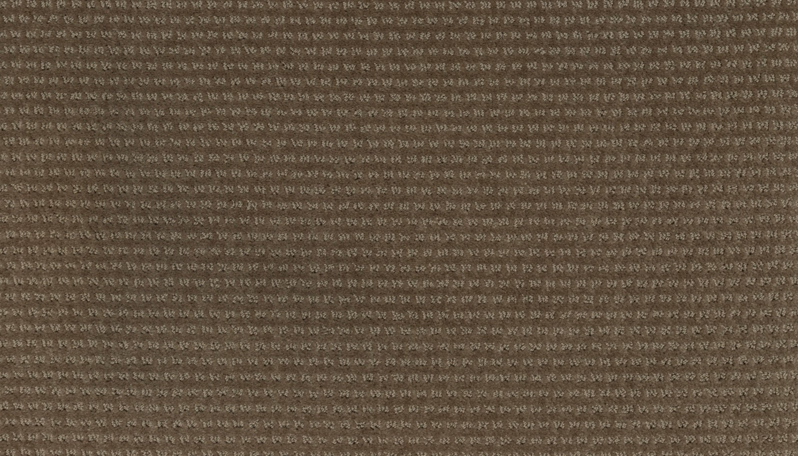 Mohawk Natural Intuition in Cocoa, Carpet product detail