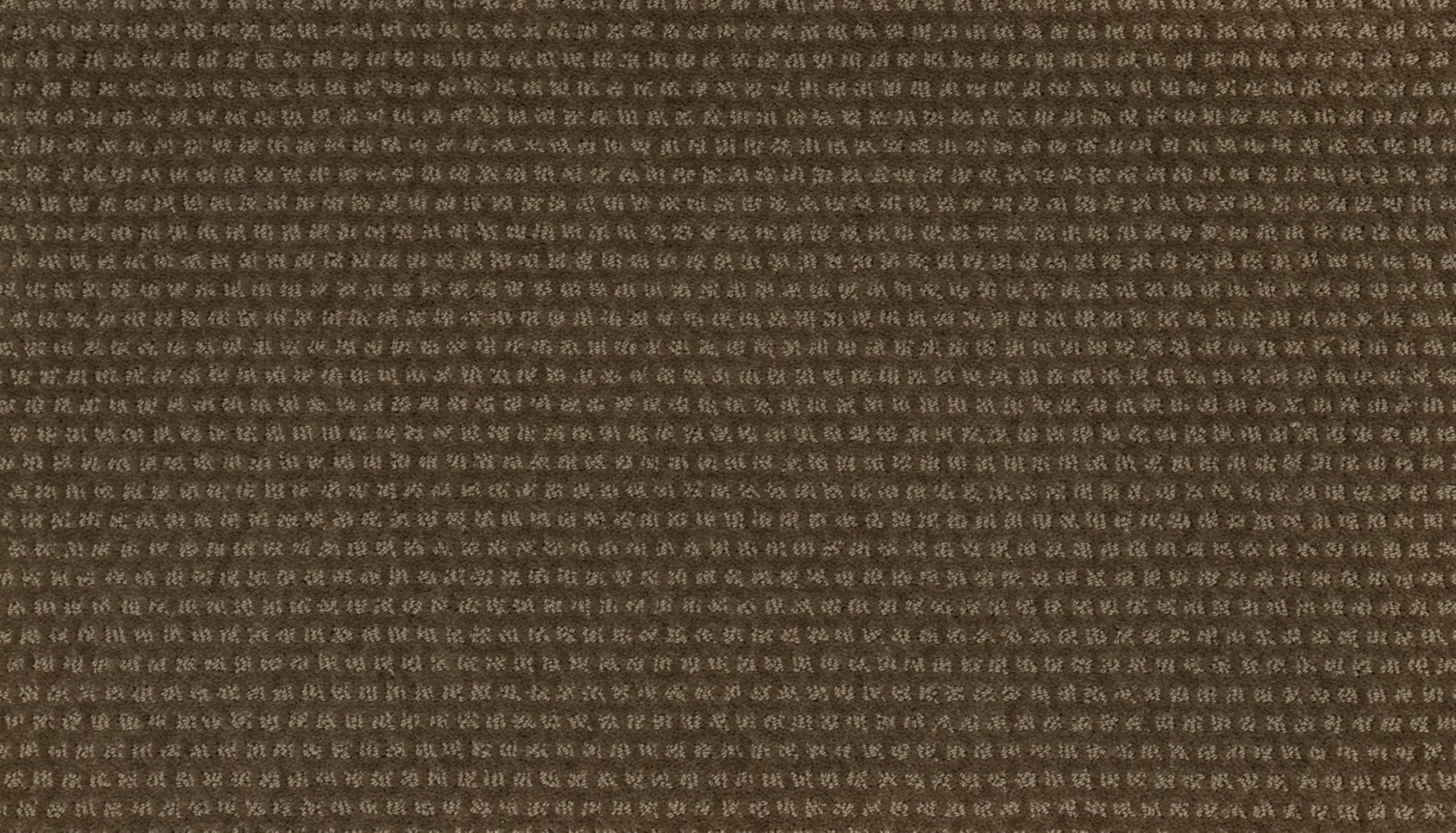 Mohawk Natural Intuition in Cat-Tail, Carpet product detail