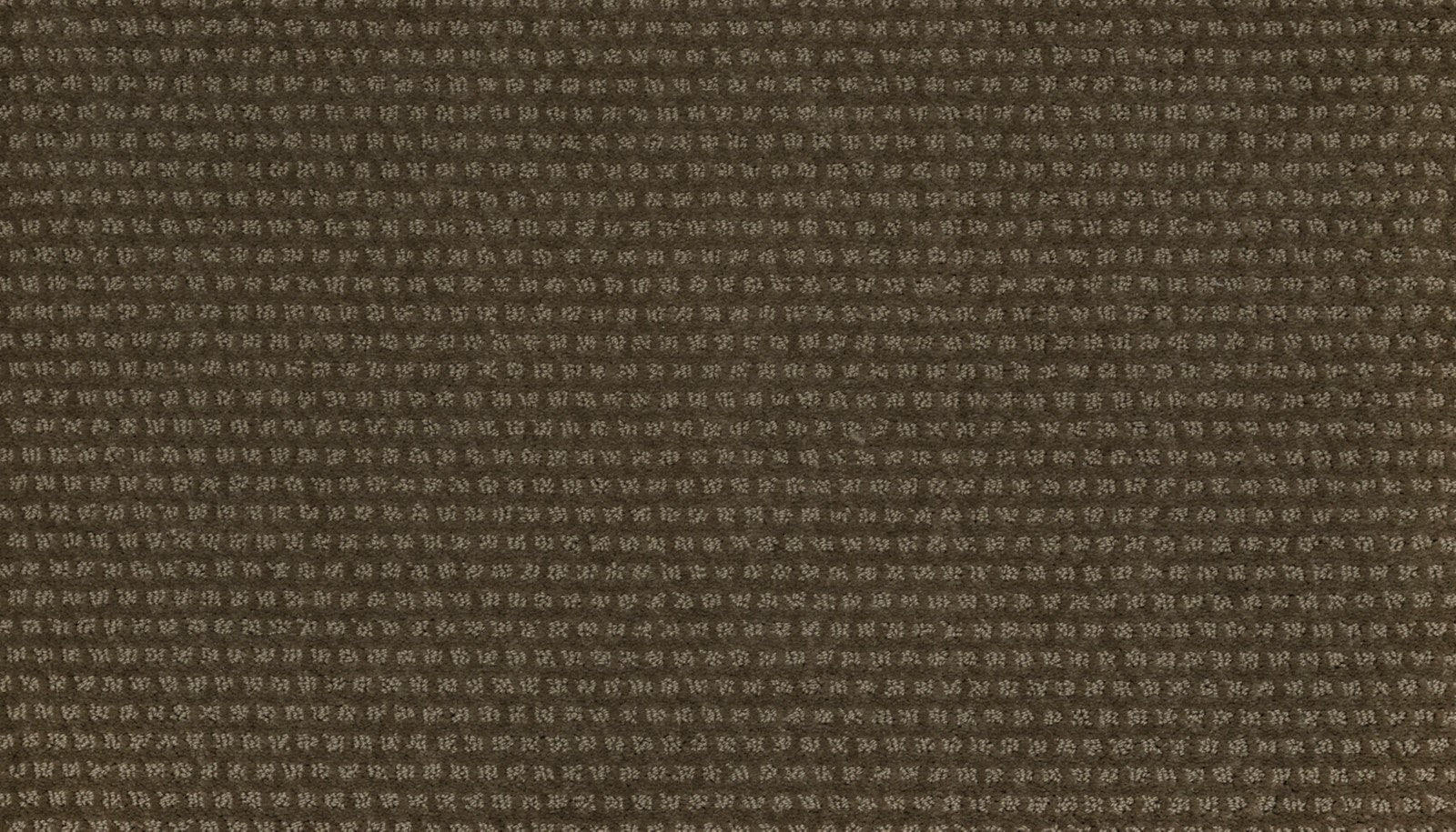 Mohawk Natural Intuition in Earthworks, Carpet product detail