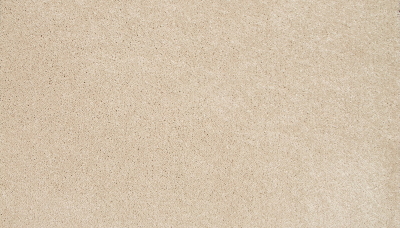 Mohawk Tender Moment II in Egg Shell, Carpet product detail