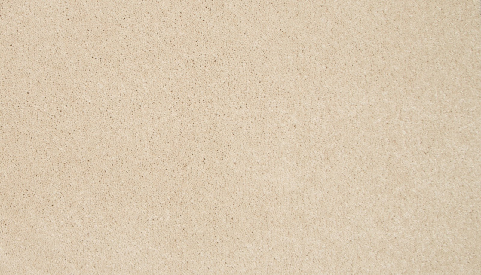 Mohawk Tender Moment II in Harmony, Carpet product detail