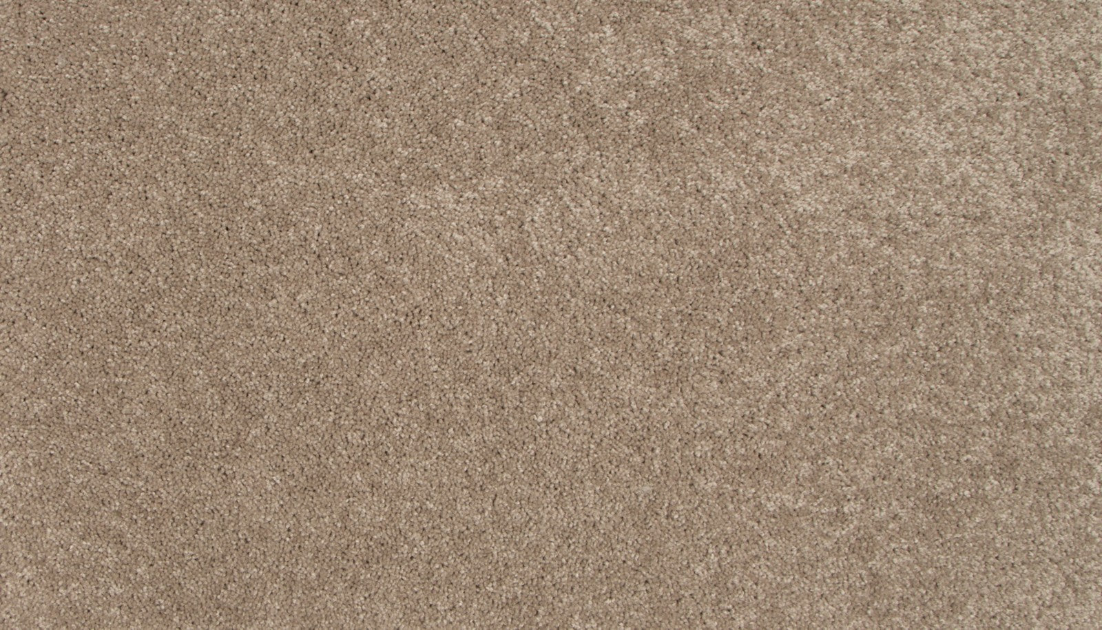 Mohawk Tender Moment II in Fawn, Carpet product detail