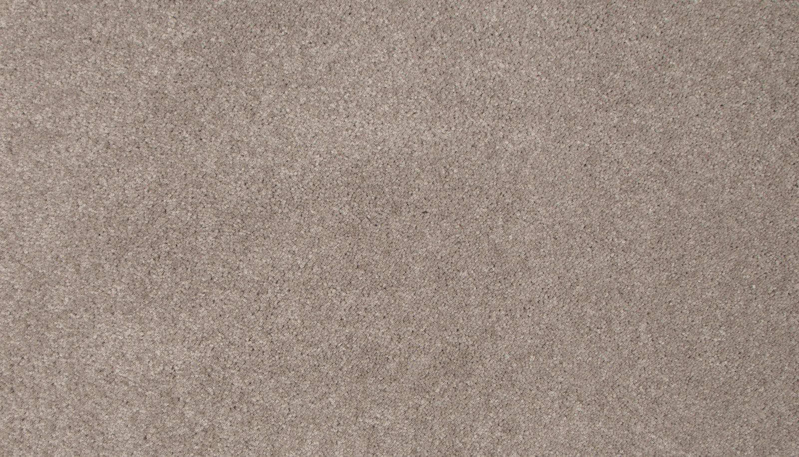 Mohawk Tender Moment II in Iron Wood, Carpet product detail