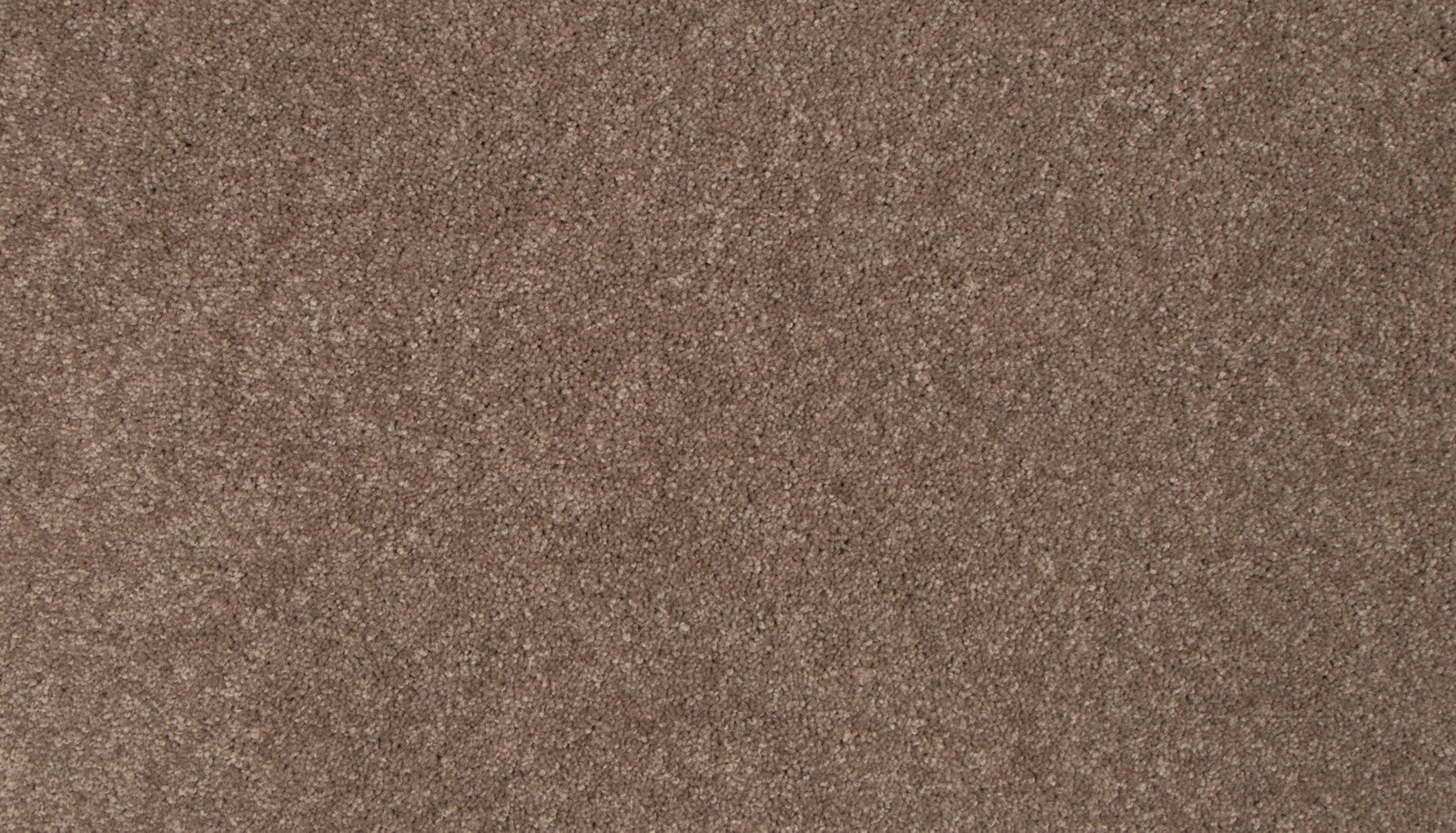 Mohawk Tender Moment II in Desert, Carpet product detail