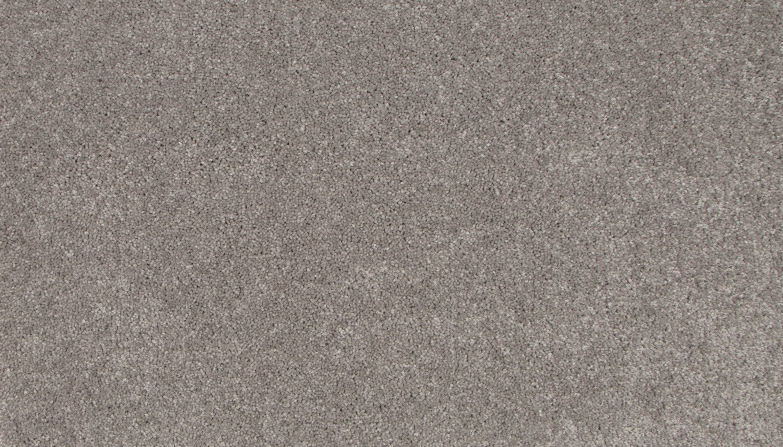 Mohawk Tender Moment II in Battleship, Carpet product detail