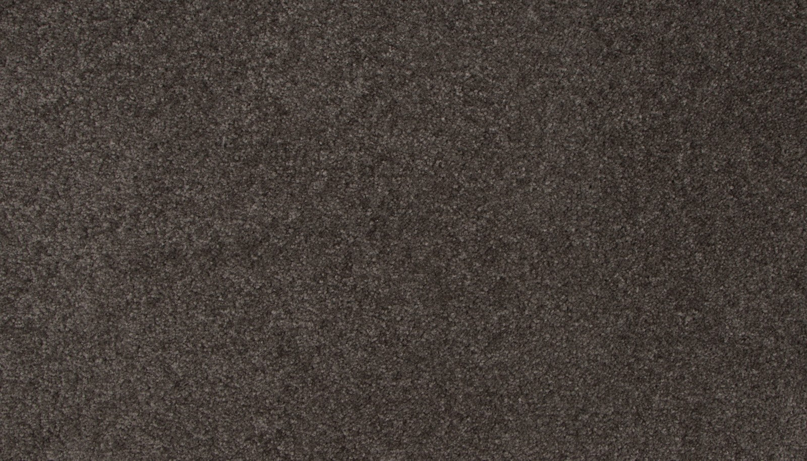 Mohawk Tender Moment II in Smokey Quartz, Carpet product detail