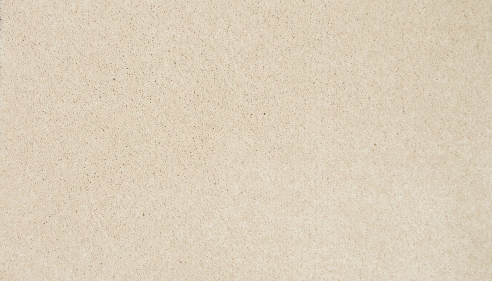 Mohawk Sweet Reflection II in Cream, Carpet product detail