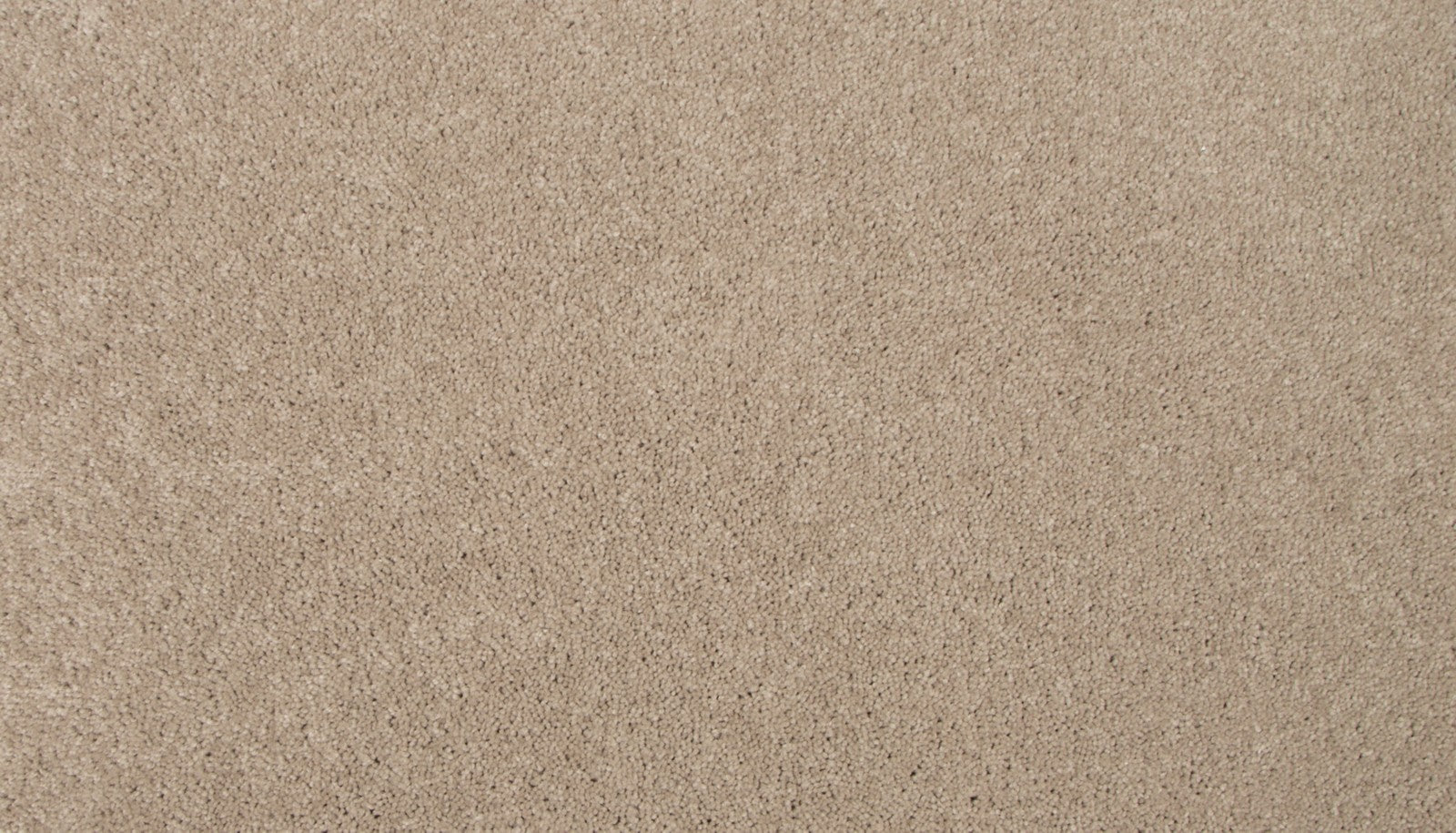 Mohawk Sweet Reflection II in Bleached Almond, Carpet product detail