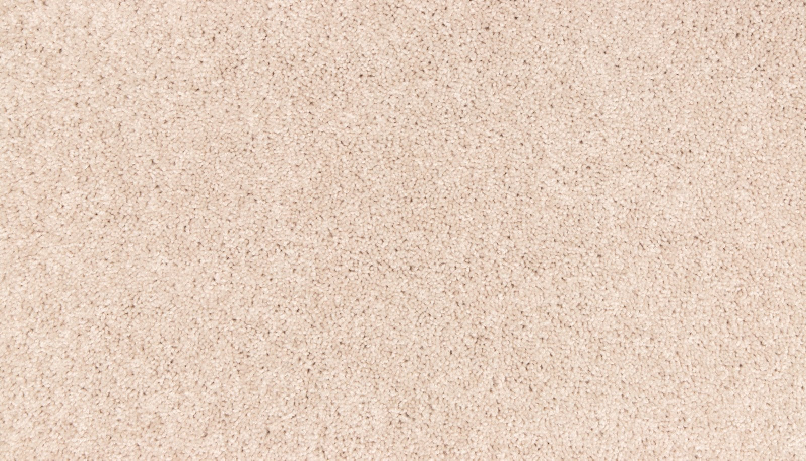 Mohawk Easy Purpose in Celebration, Carpet product detail