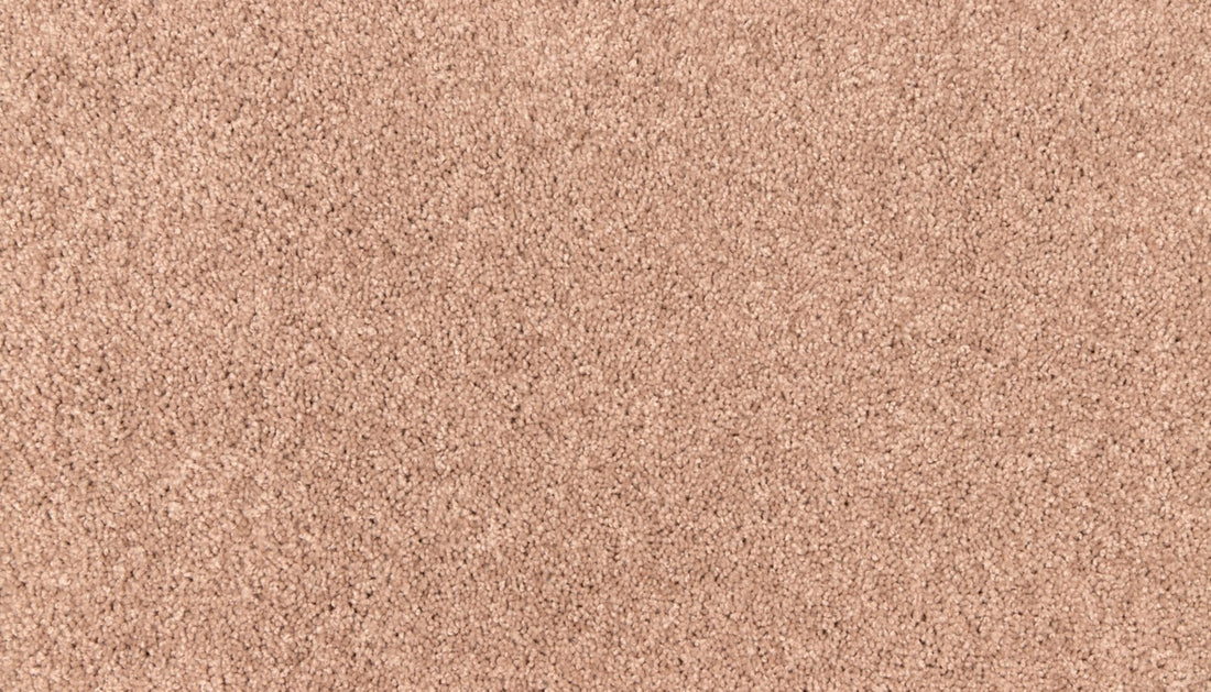 Mohawk Easy Purpose Carpet