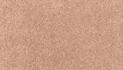 Mohawk Easy Purpose Carpet