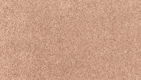 Mohawk Easy Purpose Carpet