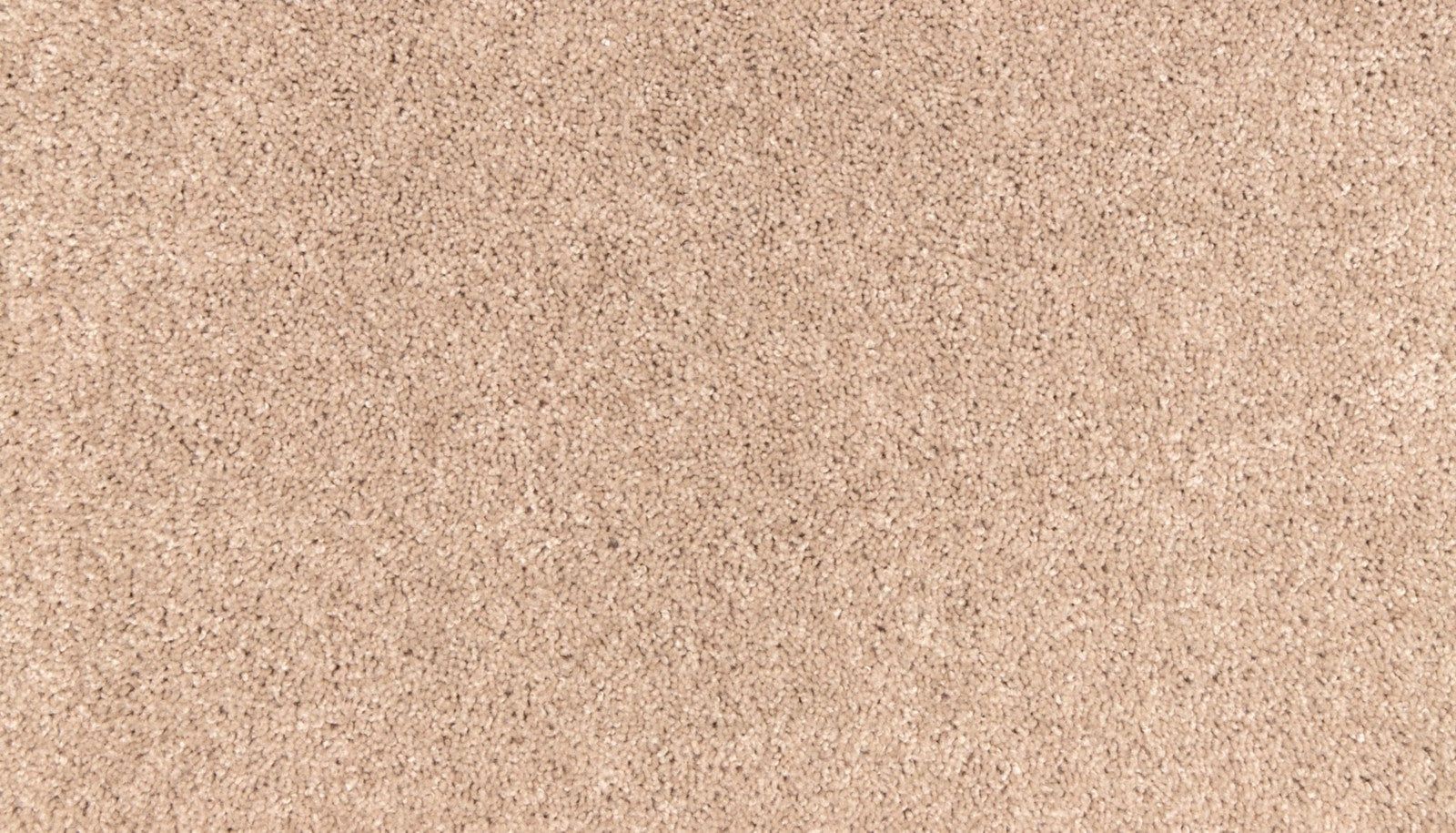 Mohawk Easy Purpose in Sand Storm, Carpet product detail