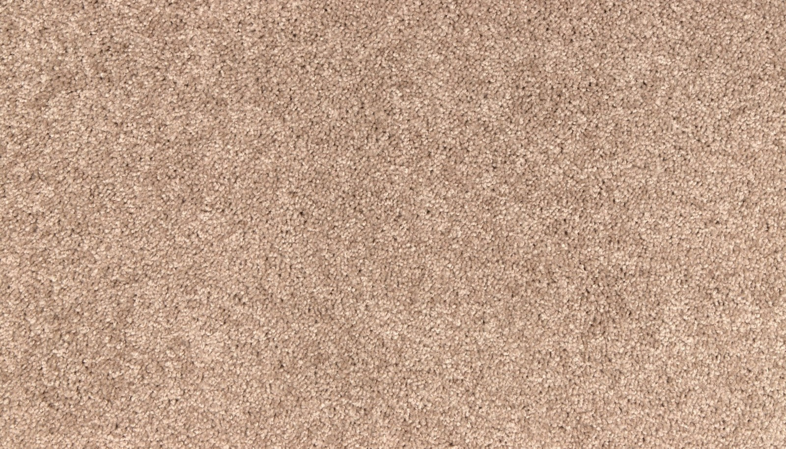 Mohawk Easy Purpose in Yellowstone, Carpet product detail