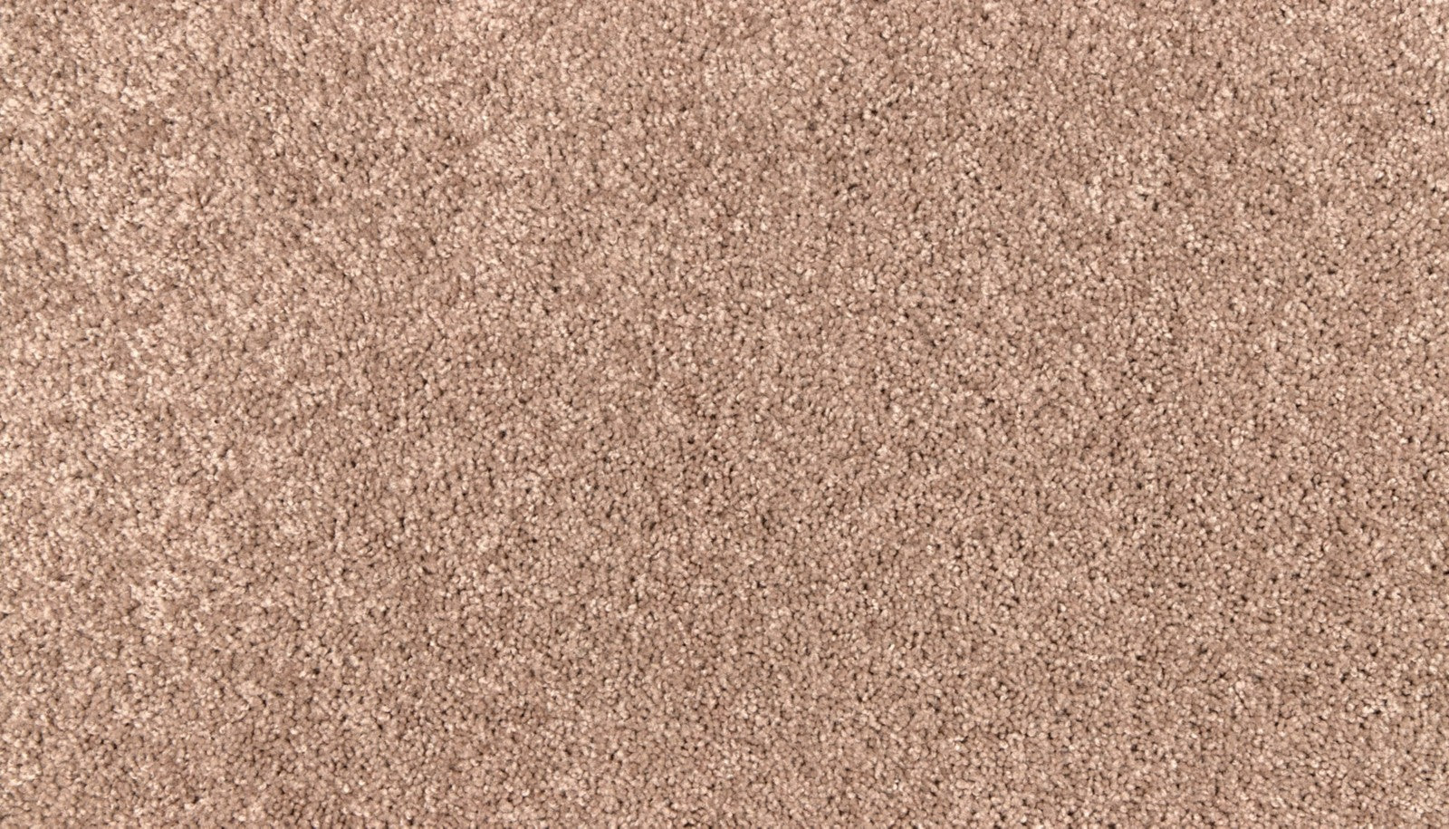 Mohawk Easy Purpose in Tiberius, Carpet product detail