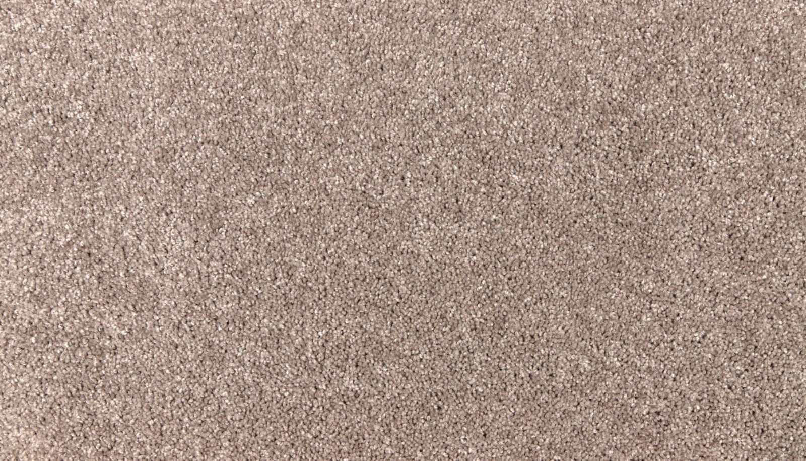 Mohawk Easy Purpose in Bottle Cap, Carpet product detail
