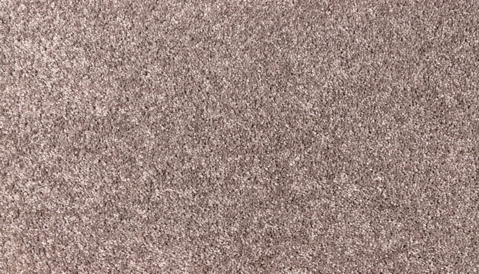 Mohawk Easy Purpose in Smoke Cloud, Carpet product detail