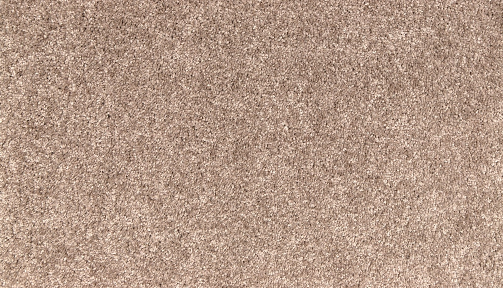Mohawk Easy Purpose in Husk, Carpet product detail