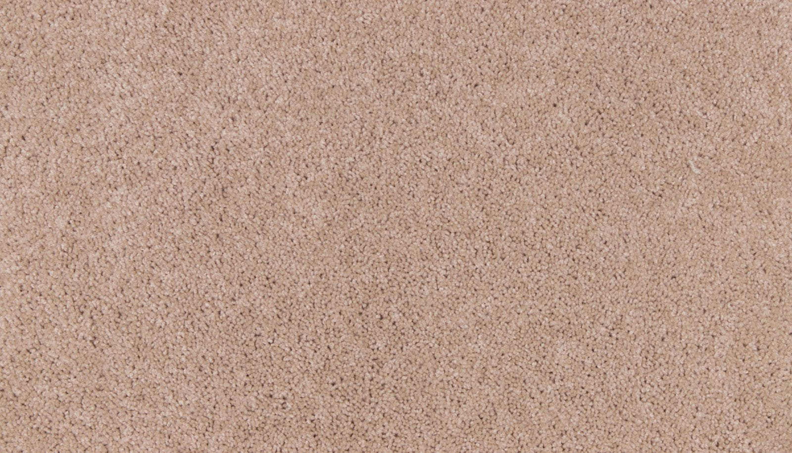 Mohawk Natural Purpose in Linen Lace, Carpet product detail