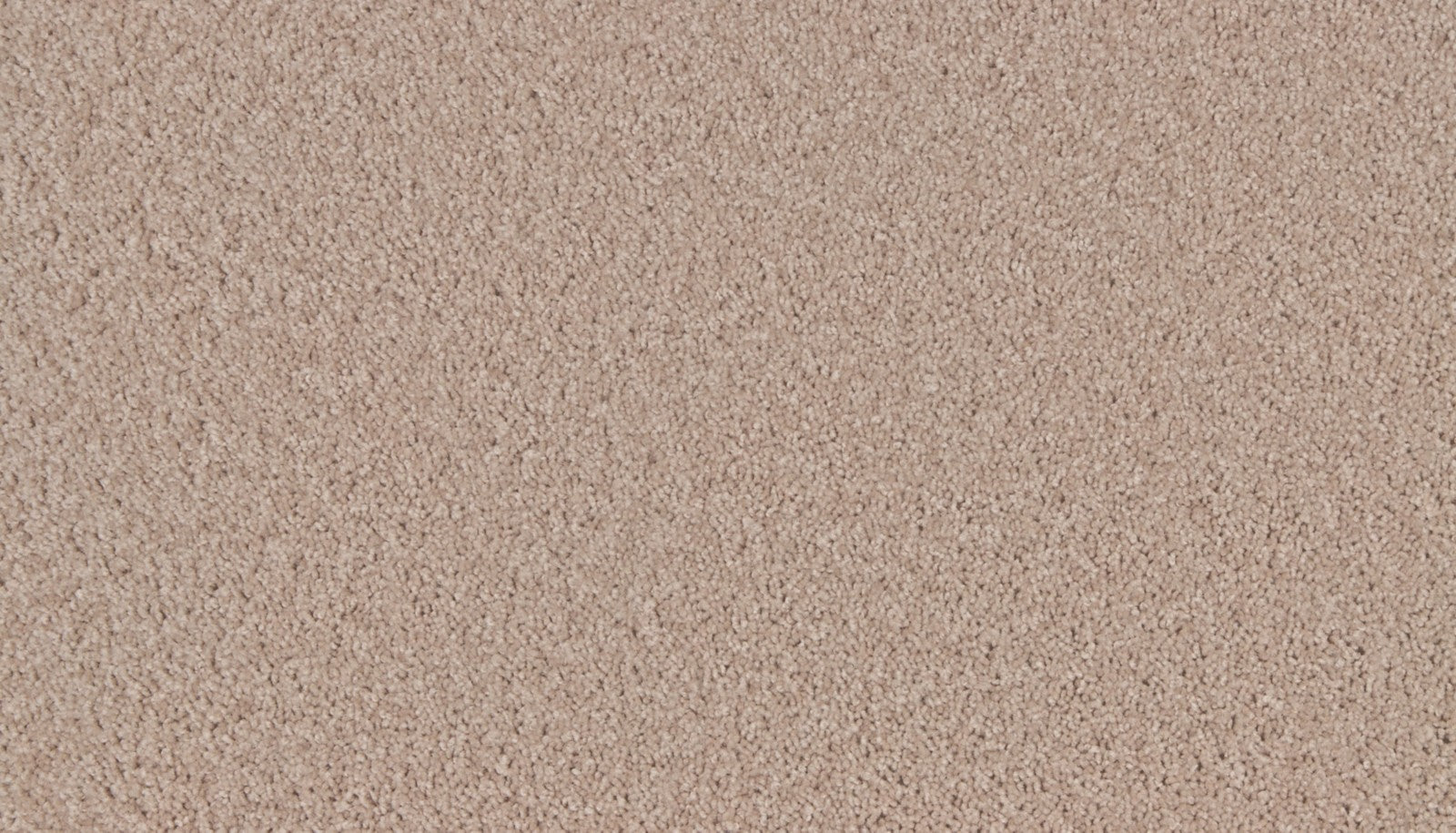 Mohawk Natural Purpose in Buffed, Carpet product detail